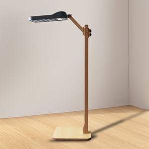 Regulador de Oxígeno de Iones Negativos para Mantenimiento de la Salud, Fisioterapia Metálica, Uso Doméstico Vertical, 300W - Product Image 1