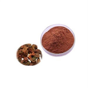 Échantillon Gratuit : Poudre d'Extrait d'Écorce <span class=keywords><strong>de</strong></span> <span class=keywords><strong>Pin</strong></span> Rouge Maritime Français 95% OPC, Brute et Séchée AD - Product Image 3