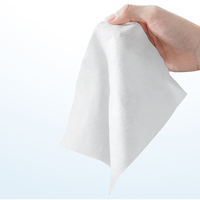Lingettes nettoyantes pour appareils électroniques en papier biodégradable, antibactériennes, écologiques et sans alcool