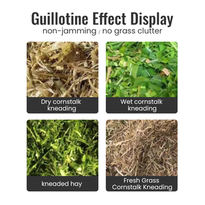 Nuova Macchina Taglia Foraggio in Metallo 220V ad Alta Produttività per la Produzione di Mangimi per Pollame e Bovini, Trituratore di Erba, Cipper per Insilato, Fieno e Foraggio - Product Image 4