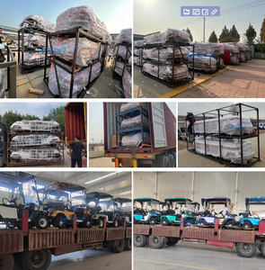 Carros de golf eléctricos plegables chinos <span class=keywords><strong>Precios</strong></span> baratos Buggy Car para la venta Mantenimiento Pickup Mini coche eléctrico - Product Image 6