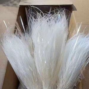 Vente chaude Ins Home Event Decor Préservé Stipa Tenuis Plume Herbe Fleurs pour Mariage et Halloween DIY Arrangements - Product Image 1