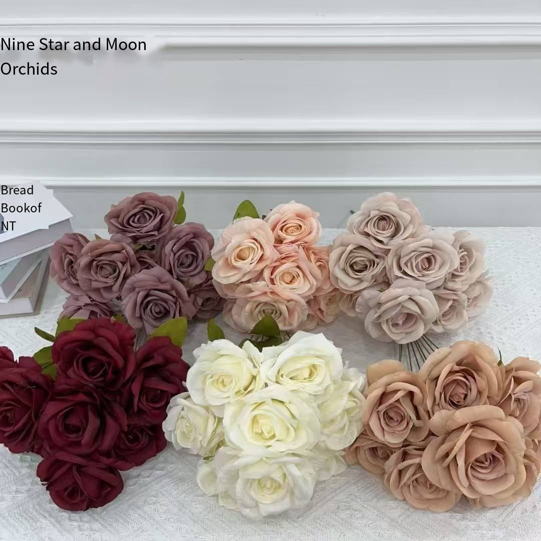 กล้วยไม้เก้าดาวและพระจันทร์