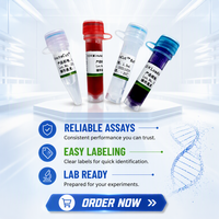 Minute Cut Fast Digest Ssp I. Expériences de biologie moléculaire. ADN plasmidique, produits de PCR ou ADN génomique. Génétiquement recombinant.