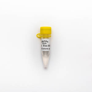 GDSbio-<span class=keywords><strong>dNTP</strong></span> Mix (sin RNase), 10mM cada uno, 0,5 ml para uso de investigación PCR R2051 - Product Image 5