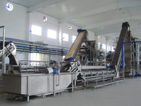 Ligne de transformation automatique de pulpe de mangue et de légumes et de jus de fruits, mélangeur de sirop, échangeur de chaleur, pasteurisateur 5000BPH pour les boissons