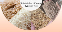 Décortiqueuse de riz commercial pour riz brun et blanc, machine à décortiquer le paddy, moulin à riz pour le traitement du riz