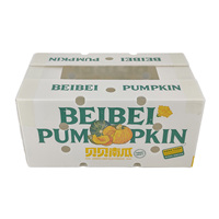 Boîte de manutention pliable en PP alvéolaire, écologique, recyclable et étanche, pour légumes et fruits, modèle citrouille, vente en gros