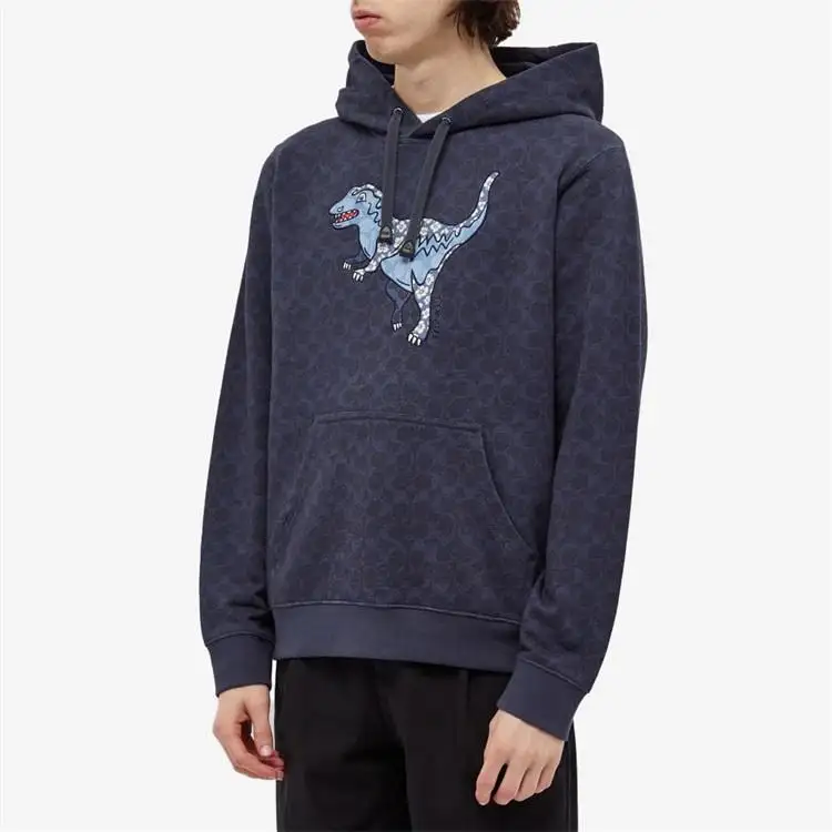 Лидер продаж, Спортивный Повседневный пуловер на заказ с принтом динозавра, синяя Толстовка для мужчин