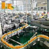 ENAK Tropisch Vers Fruit Geblikte Mandarijn Perzik Gele Perzik Machinebewerking Productielijn