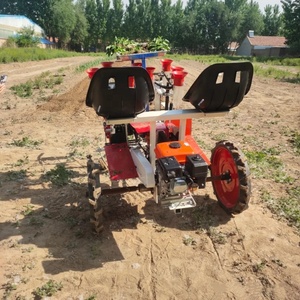 Prix d'usine, machine à repiquer les semis de légumes et de pastèques automotrice, repiqueuse automatique de semis - Product Image 3