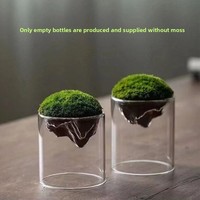 Botella ecológica de micropaisaje creativo de alto valor, botella de musgo de vidrio transparente grueso para plantas hidropónicas transfronterizas