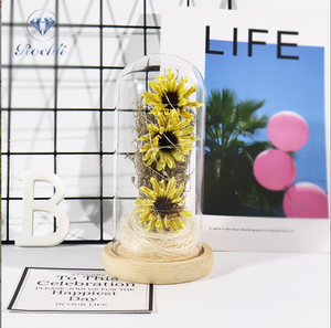 Fleurs Offre Spéciale créatives avec base en <span class=keywords><strong>bois</strong></span> couverture en verre roses PE - Product Image 4