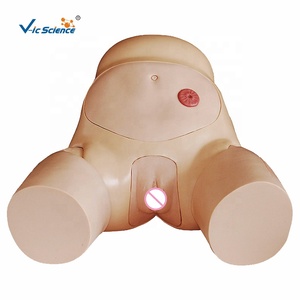 Modèle avancé de cathétérisme féminin avec urètre et bassin simulés pour la pratique clinique des étudiants en soins infirmiers et l'enseignement médical - Product Image 1