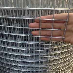 High Quality Zinc Coated Wire mesh Galvanized Bird Cage Welded Wire Mesh Roll for Fence Mesh