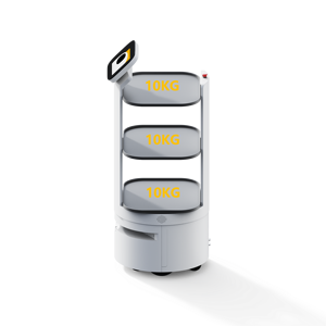 Robot Intelligente con Intelligenza Artificiale / Robot per Consegna Cibo / Robot Simile all'Umano con Ricarica Automatica Controllato da App - Product Image 2