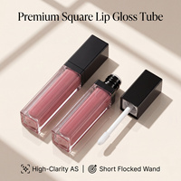 Tube de brillant à lèvres carré en plastique ABS AS à paroi épaisse de 7 ml avec pinceau pour marque privée, vente en gros en usine, logo personnalisé en vrac