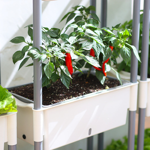 Pots de <span class=keywords><strong>fleurs</strong></span> <span class=keywords><strong>en</strong></span> plastique pour la maison et le jardin, pots auto-arrosants pour plantes d'intérieur, utilisation au sol ou suspendus, PP antimicrobien - Product Image 4