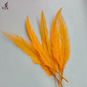 Venta al por mayor de plumas de avestruz coloridas teñidas de plumas de avestruz <span class=keywords><strong>Nandu</strong></span> para vacaciones de fiesta - Product Image 2