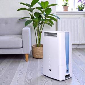 Déshumidificateur d'air en plastique ABS DD6 pour usage domestique - personnalisation disponible - Product Image 1