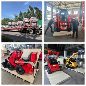 Minicargadora de Ruedas, 200-300 kg, Compacta, con Motor Diésel, Certificación CE y EPA, para Trabajos Agrícolas y de Jardinería, 2 Años de Garantía - Product Image 6