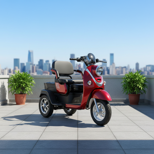 Tricycle électrique pour adultes, scooter électrique à 3 roues avec grand espace de rangement, sûr et facile à conduire pour les personnes âgées - Product Image 2