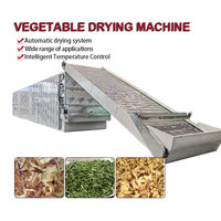 Machine de séchage industrielle continue pour oignon, persil, coriandre, ail, légumes et herbes – Ligne de traitement de déshydratation