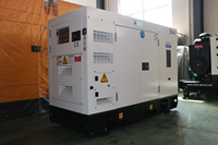 Générateur Diesel Perkins 24kW 30kVA Silencieux Super Insonorisé Triphasé 50Hz Prix Usine pour Usage Domestique et Petites Entreprises