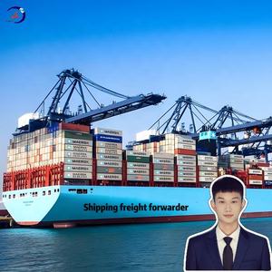 Agente <span class=keywords><strong>de</strong></span> carga <span class=keywords><strong>de</strong></span> logística oficial <span class=keywords><strong>de</strong></span> Amazon para mercancías <span class=keywords><strong>de</strong></span> envío urgente LCL + a EE. UU. Y Canadá desde almacén en <span class=keywords><strong>el</strong></span> extranjero con DDP - Product Image 5