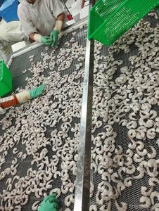 Camarones Blancos Congelados de Vietnam de Alta Calidad, Vannamei, Semillas Vivas, Camarones Procesados, Empaquetado a Granel, <span class=keywords><strong>Precio</strong></span> Original al por Mayor - Product Image 5