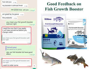 Aliments pour poissons Multivitamines Additif d'alimentation pour poissons microbiens Vitamine <span class=keywords><strong>c</strong></span> 4% Prémélange pour poisson-chat Aliments pour poissons à croissance rapide Multivitamines pour poissons - Product Image 3