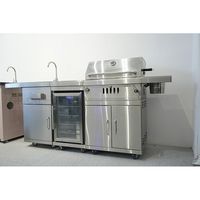 Artículos de Cocina para Exteriores a Gas, Parrilla de Gas Profesional de Acero Inoxidable, Mueble de Cocina para Exteriores de China
