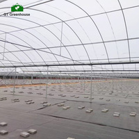 Ferme en acier inoxydable avec système de culture hydroponique, tubes de haute qualité à emplacements multiples en tunnel