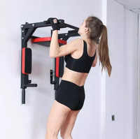 Barre de traction murale SP Gym, barre horizontale multifonctionnelle réglable pour la musculation