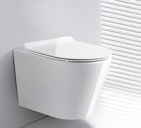 Articles sanitaires européens de haute qualité porcelaine blanche mate WC suspendu cuvette de toilette salle de bain toilettes suspendues ensemble de toilette salle de bain