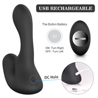 SHD-S041-2 Masseur de prostate à commande électrique, 10 fréquences, lubrifié, vibrateur masculin, masturbateur, orgasme prostatique