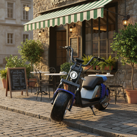 Citycoco Cyclomoteur Électrique Adulte 2000W Harley Pneus Larges Trottinette Électrique Sans Droits de Douane Délai de Livraison Court pour les Acheteurs en Gros