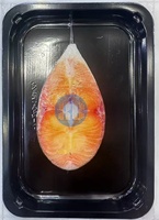 Plateau sous vide en plastique PP rectangulaire jetable pour les emballages de fruits de mer de viande à steak de fruits de mer pour les emballages blister de supermarché