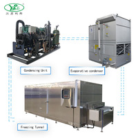 Libon Snelbevroren Fruit Apparatuur/Iqf Fruit En Groente Tunnel Vriezer