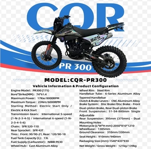 GX-CQR-PR300 Motocicleta Todoterreno Eléctrica de 21 HP, Motor de 4 Tiempos y 300 cc, 2 Pistones, Refrigeración por Aire, SOHC, 2 Válvulas, Freno de Disco Doble, NIBBI PE30, 6 Velocidades - Product Image 4