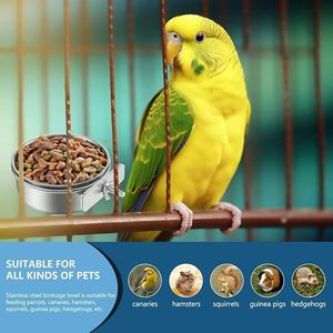 Paslanmaz çelik papağan kuşlar besleme bardaklar Cockatiel Conure budbudparakeet için kelepçe tutucu ile tabak su kafesi kaseler - Product Image 5