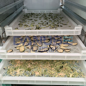 Secadora de Frutas y Verduras, Secadora de Jengibre, Secadora de Cardamomo y Chile - Product Image 4