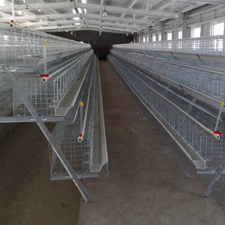 Harga Pabrik Cina Jenis Tangga Lapisan Kandang Ayam untuk Dijual