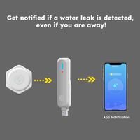 WiFi Système de sécurité domestique intelligent Kit de bricolage Détecteur de fuite d'eau sans fil avec passerelle d'alerte Capteur de fuite goutte à goutte pour la sécurité domestique