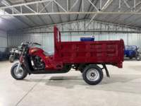 Tricycle motorisé à essence 200cc, démarrage électrique, capacité de charge 400kg, avec auvent, idéal pour le transport agricole - Nouveauté 2026, Vente Flash