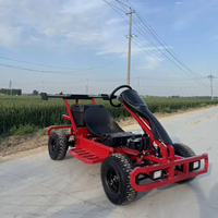 Karting électrique tout-terrain deux places personnalisé OEM, 4 roues, avec suspension indépendante, pour location