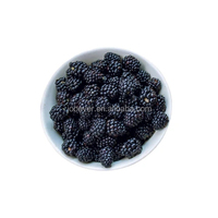 Premium IQF Diepvries Zwarte Moerbei Hele Vruchten Variëteit Morus Nigra BRC HACCP Gecertificeerd Bulk Fruit voor Sap Bakkerij Groothandel Fabriek
