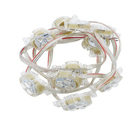Permanent IP68 Ws2811 numérique programmable adressable DMX RGB RGBIC 30mm RGBW Pixel Led Dot String façade Module Point Light