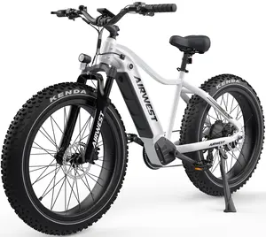 48V 15AH grasso pneumatico elettrico Sport Mountain Long Rang Bike 750W Display LCD E bici USA all'ingrosso per adulti bicicletta elettrica