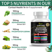 Capsules de glycinate de magnésium complexe 300 mg pour l'énergie et la santé musculaire, complément à base de plantes, support OEM/ODM
